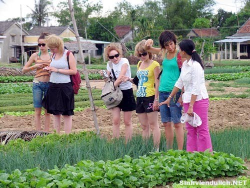 Phát triển du lịch nông nghiệp, nông thôn gắn với xây dựng nông thôn mới (24/3/2019)